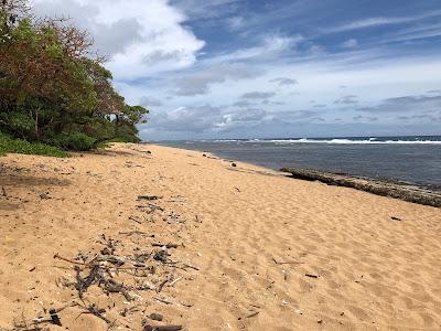 Sandee - Larsen's Beach