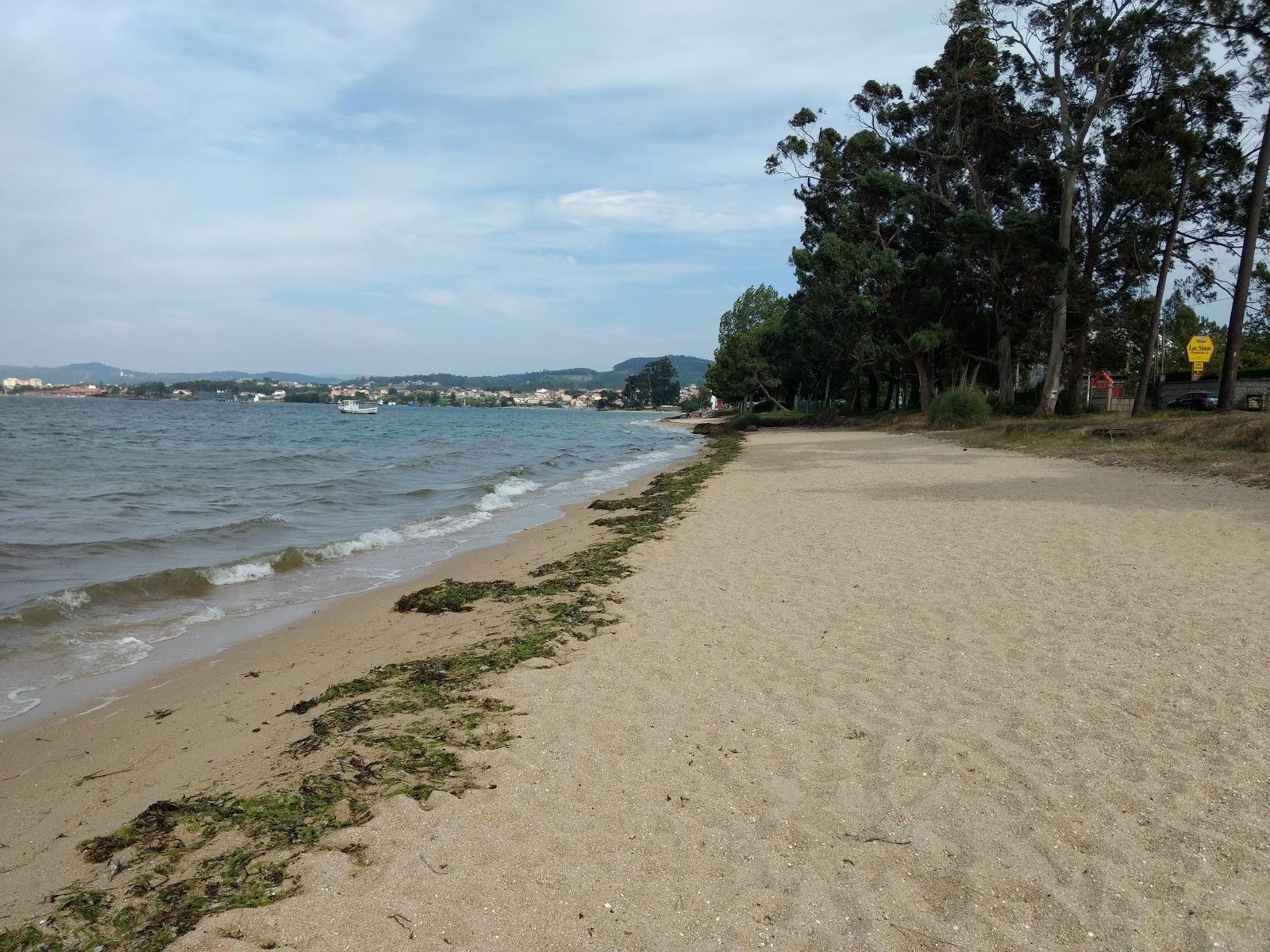 Sandee Praia De Sinas
