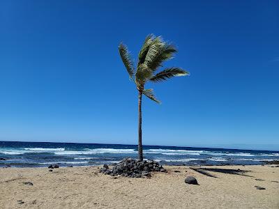 Sandee - Old Kona Airport State Recreational Area