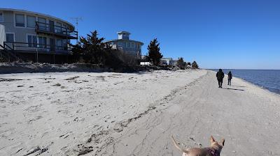 Sandee - Pickering Beach