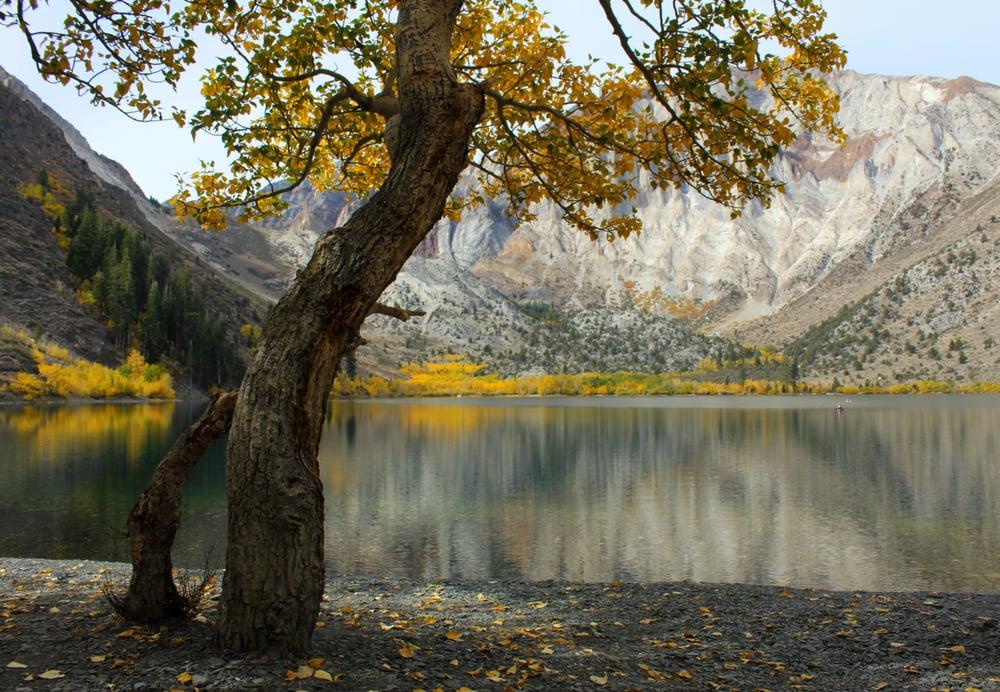 Sandee - Convict Lake