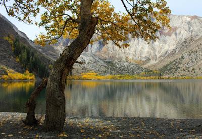 Sandee - Convict Lake