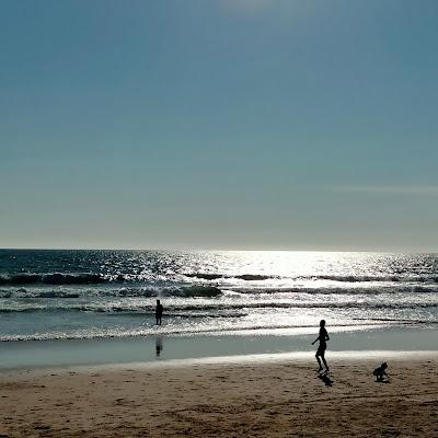 Sandee - Praia Da Costa Da Caparica