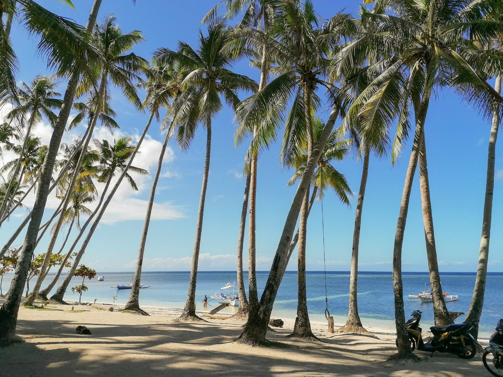 Sandee - Paliton Beach