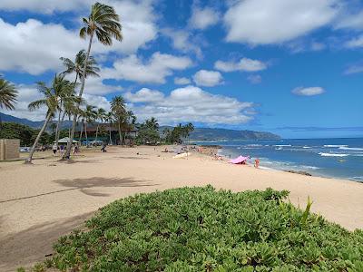 Sandee - Haleiwa Alii Beach Park