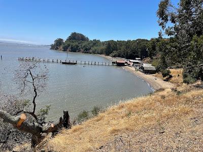 Sandee - China Camp Beach