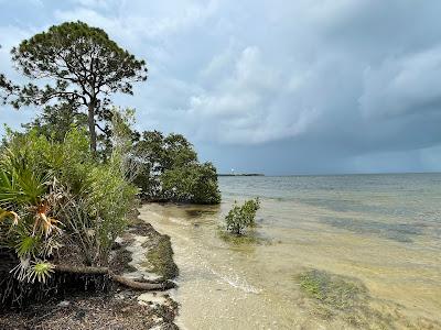 Sandee - Anclote Gulf Park