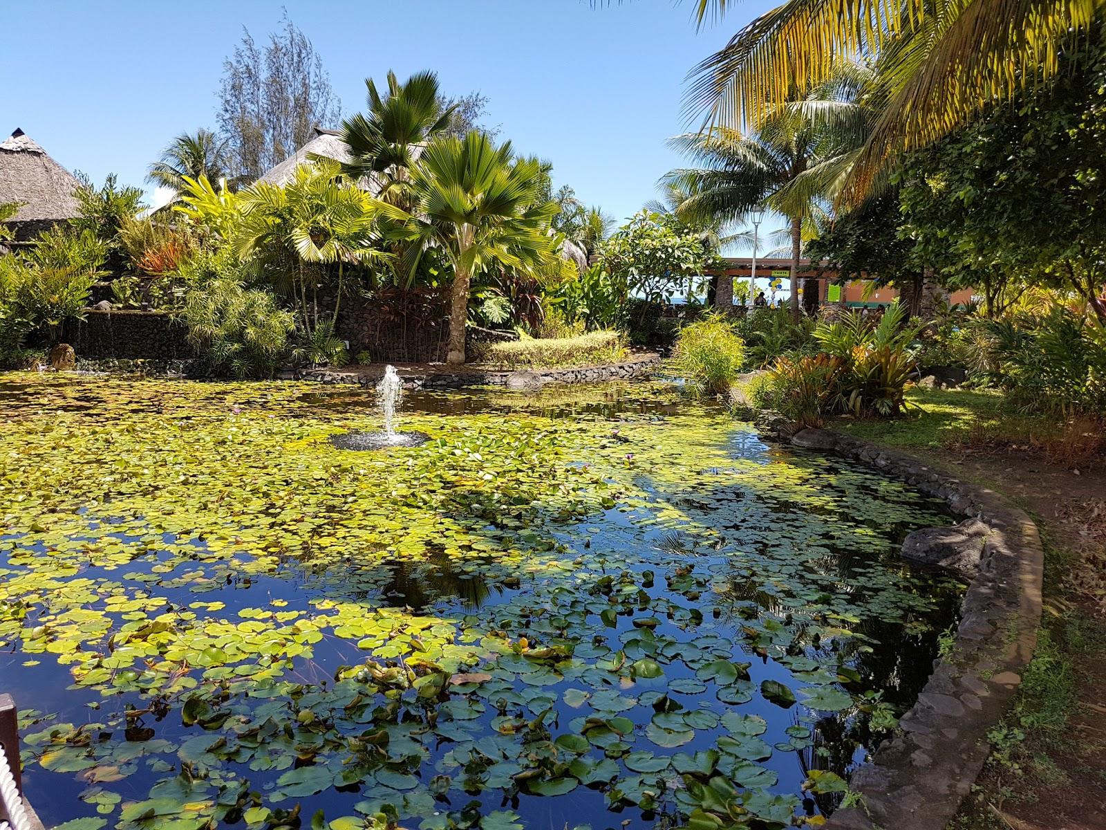 Sandee Pa'Ofai Gardens