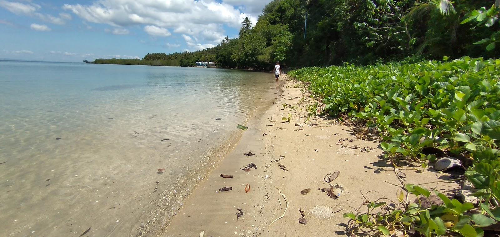 Sandee Bayani Beach