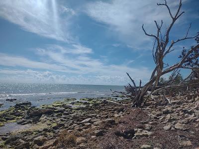 Sandee - Boca Chica Beach