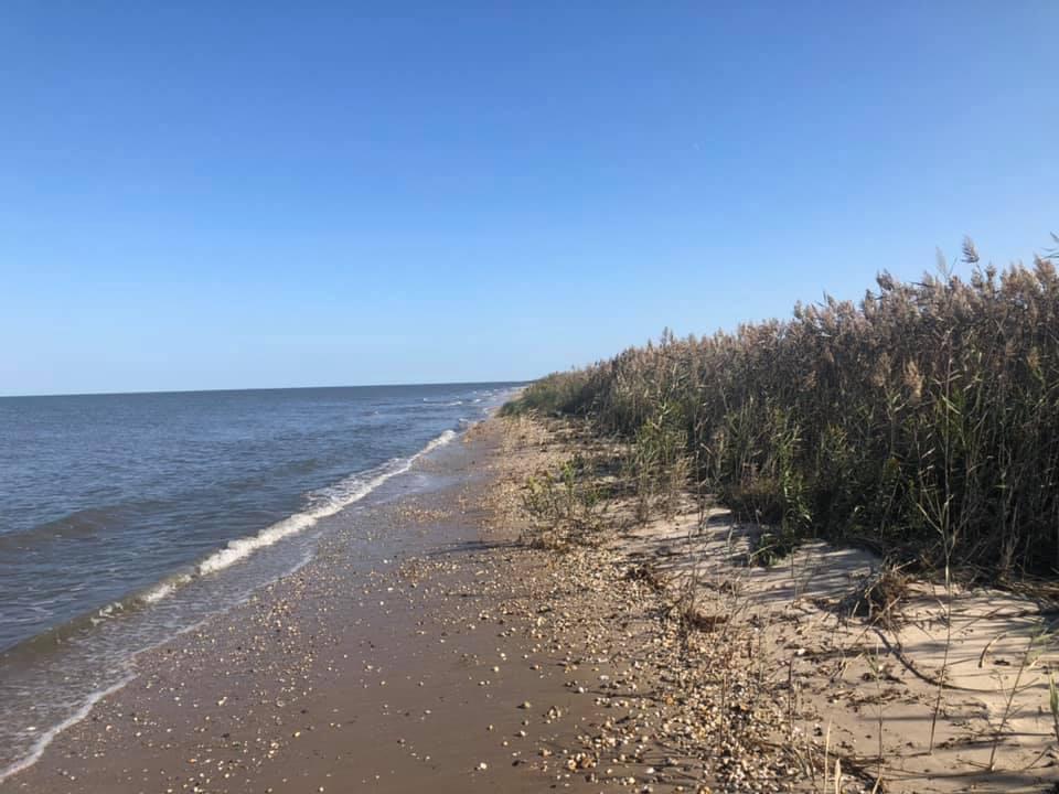 Sandee - Bennett's Pier Beach