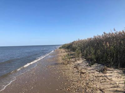 Sandee - Bennett's Pier Beach