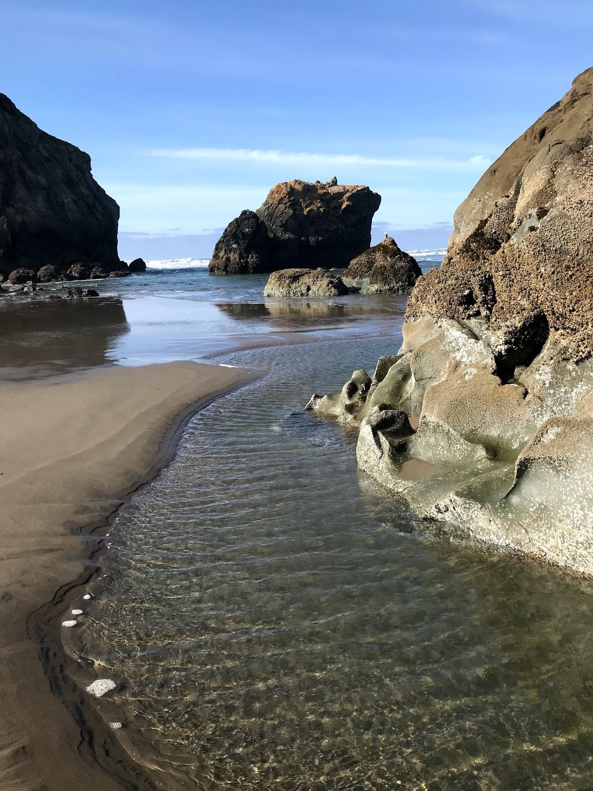 Sandee - Bandon State Natural Area