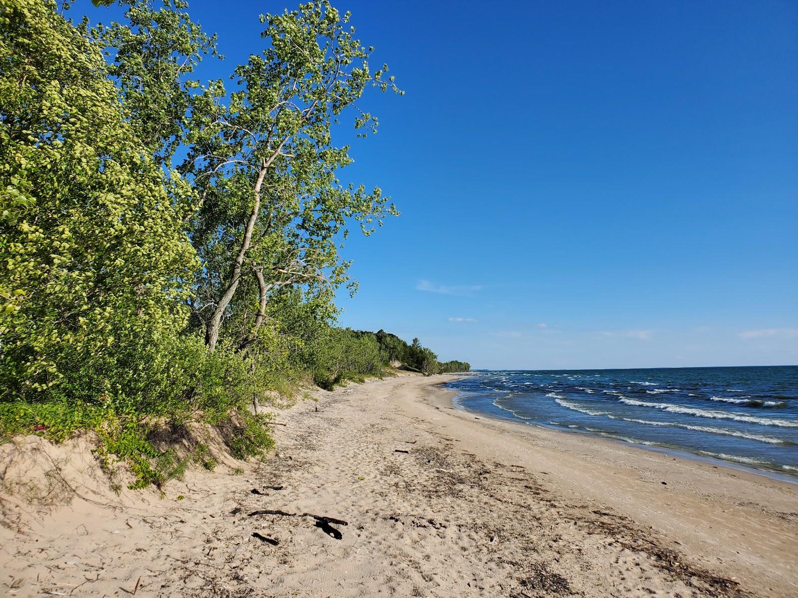 Sandee Black Pond Wildlife Management Area