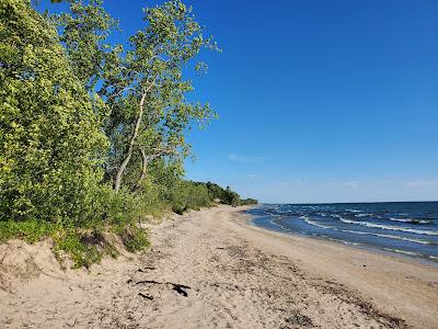 Sandee - Black Pond Wildlife Management Area