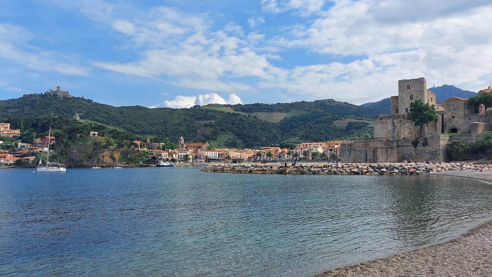 Sandee Naturist Beach Bocal Du Tech Photo