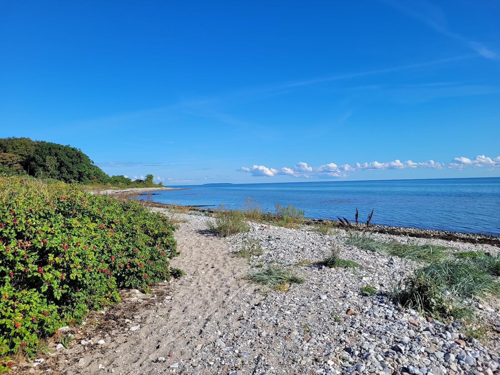 Sandee Nordenhuse Strand