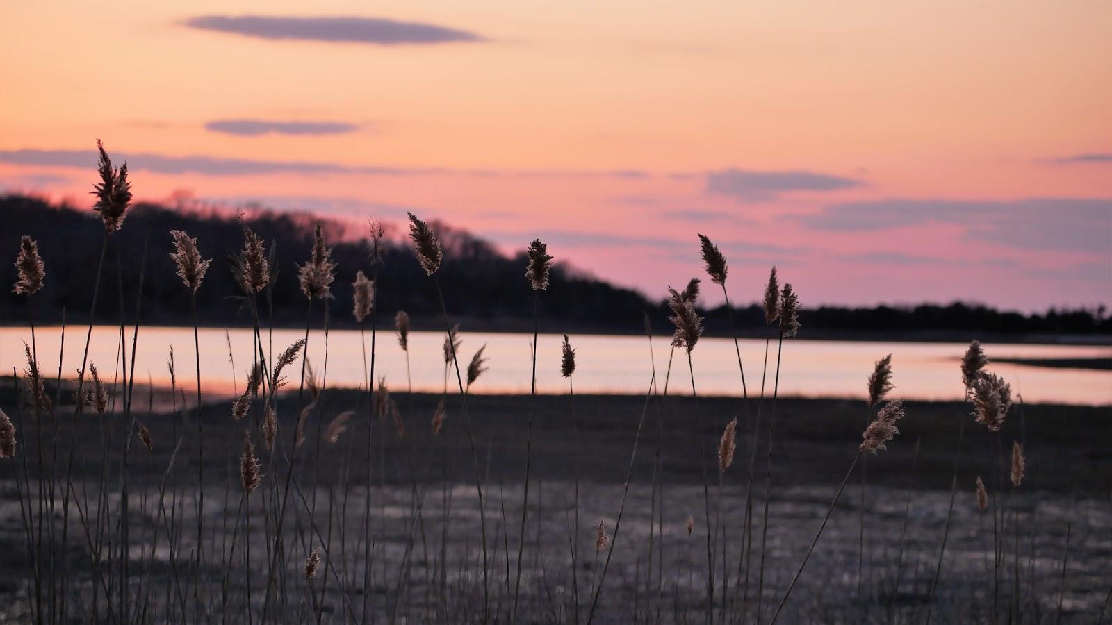 Sandee - Flax Pond Beach