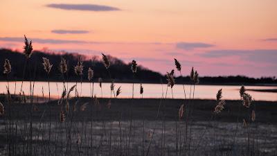 Sandee - Flax Pond Beach