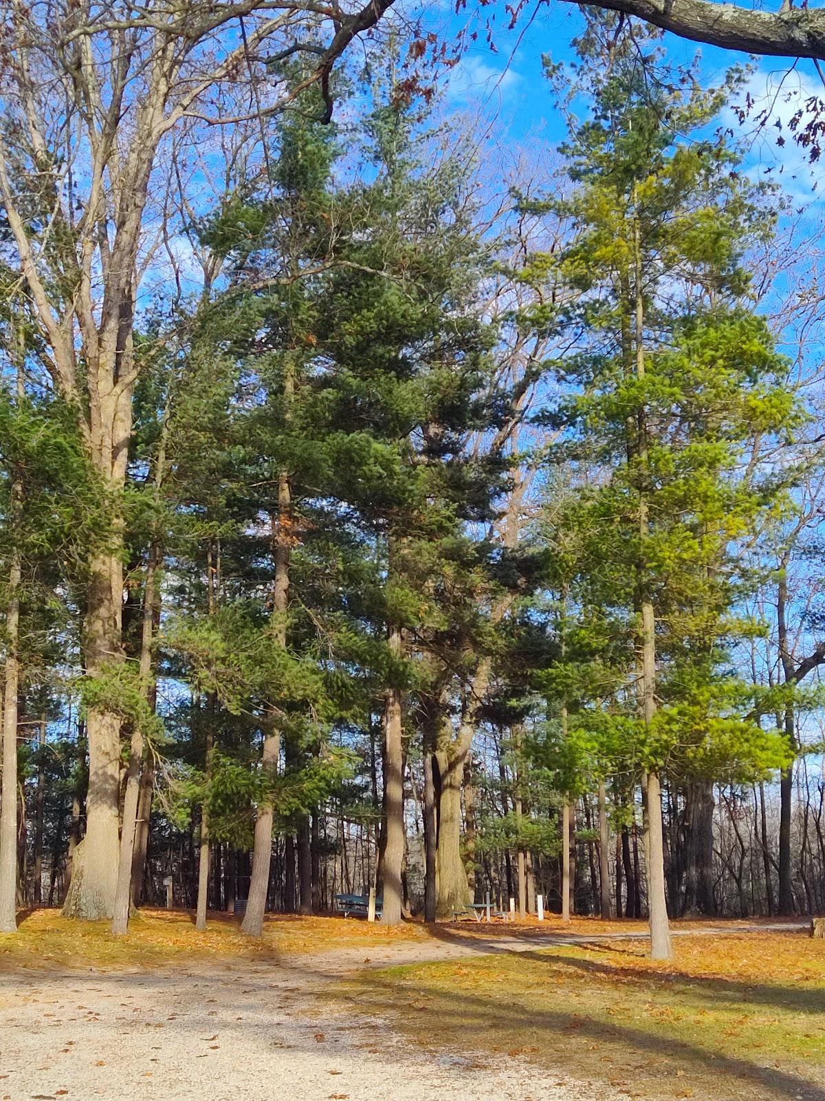 Sandee - Black Lake County Park