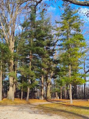 Sandee - Black Lake County Park