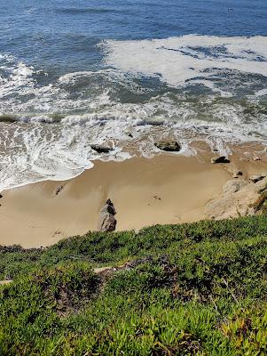 Sandee - Praia Da Pedra Da Nau