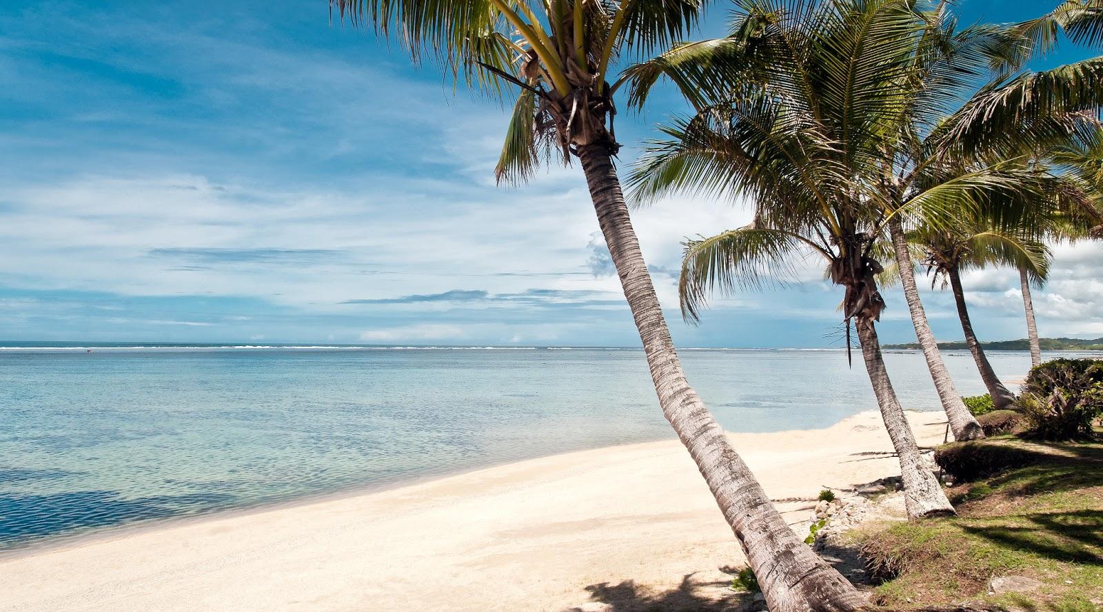 Sandee Bedarra Beach