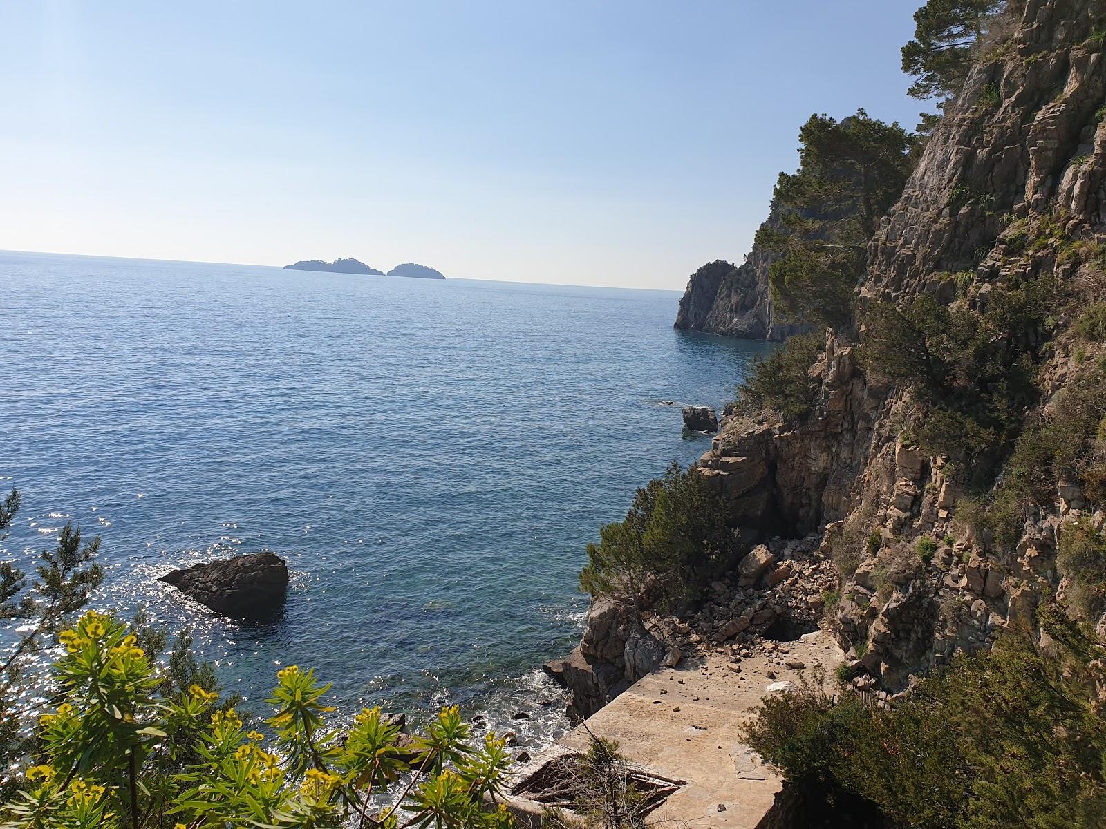 Sandee Spiaggia Di Scoliera
