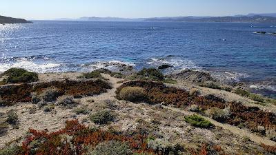 Sandee - Plage De La Gabrielle