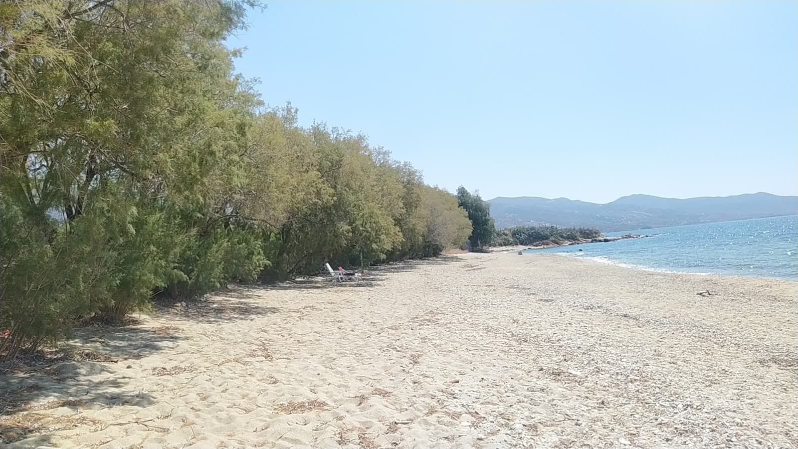 Sandee Agios Athanasios Beach Photo