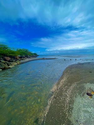 Sandee - Silliman Beach