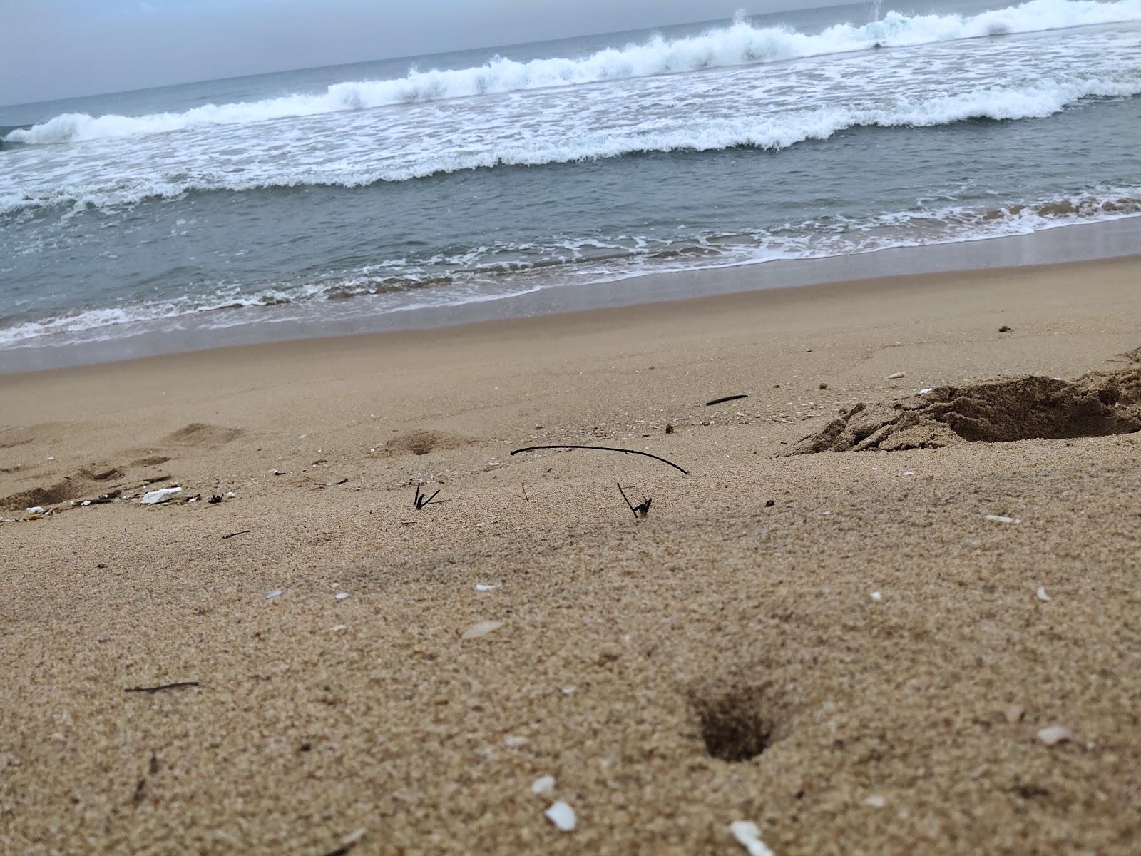 Sandee Karedu Beach