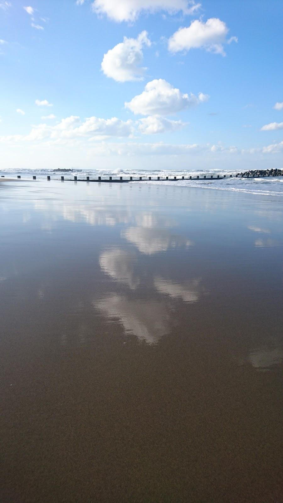 Sandee Tayuhama Coast