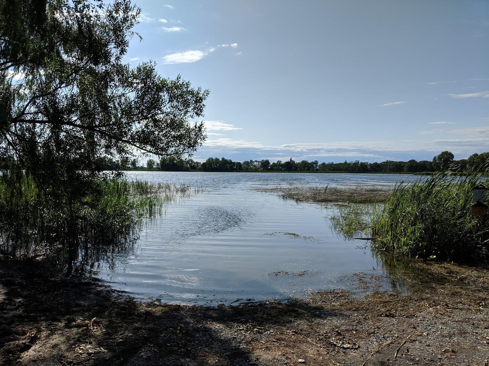 Sandee - Lakeview Marsh And Barrier Beach National Natural Landmark