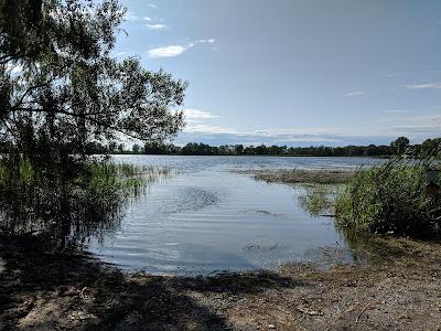 Sandee - Lakeview Marsh And Barrier Beach National Natural Landmark