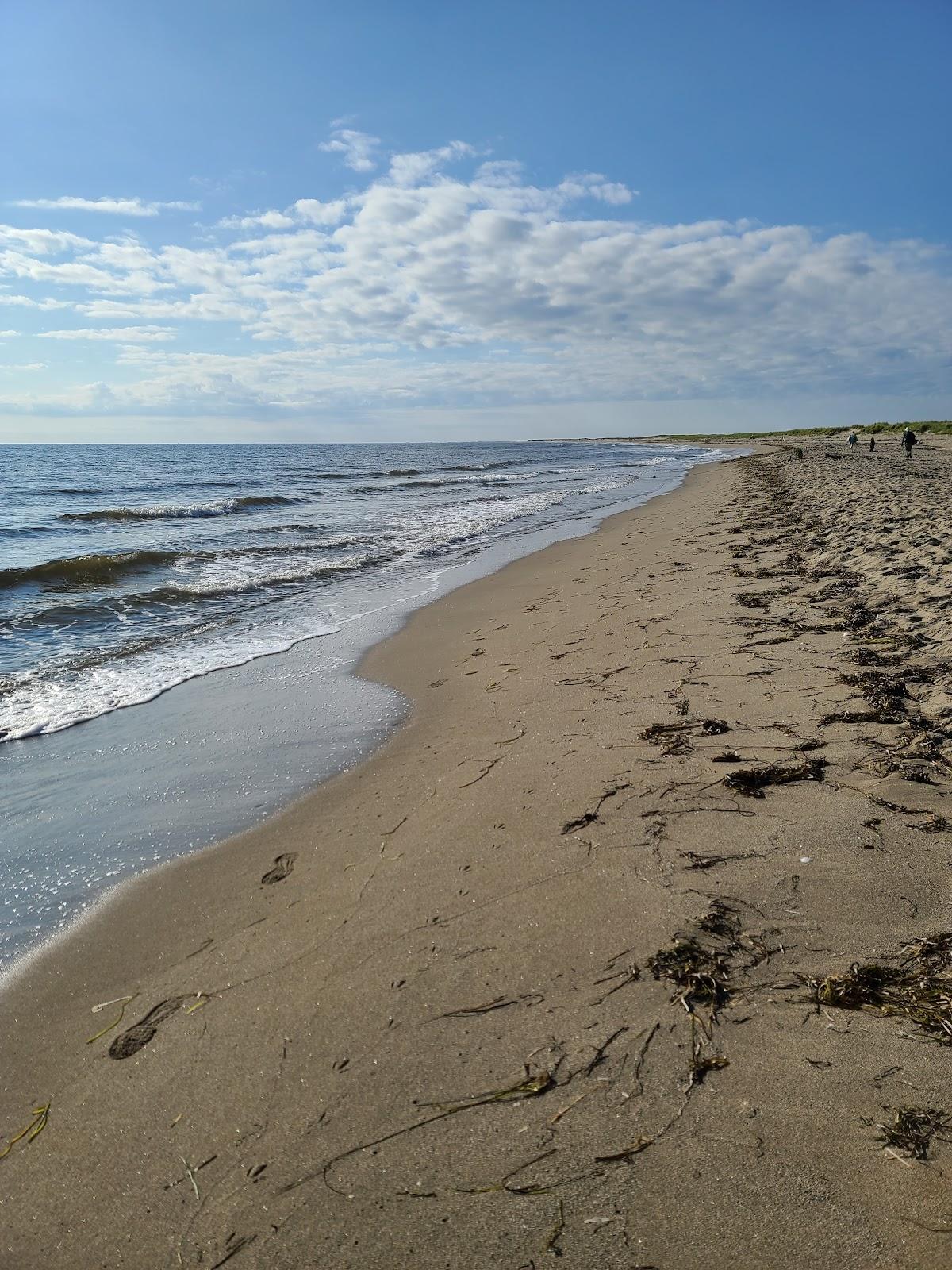 Sandee South Kouchibouguac Dune Photo