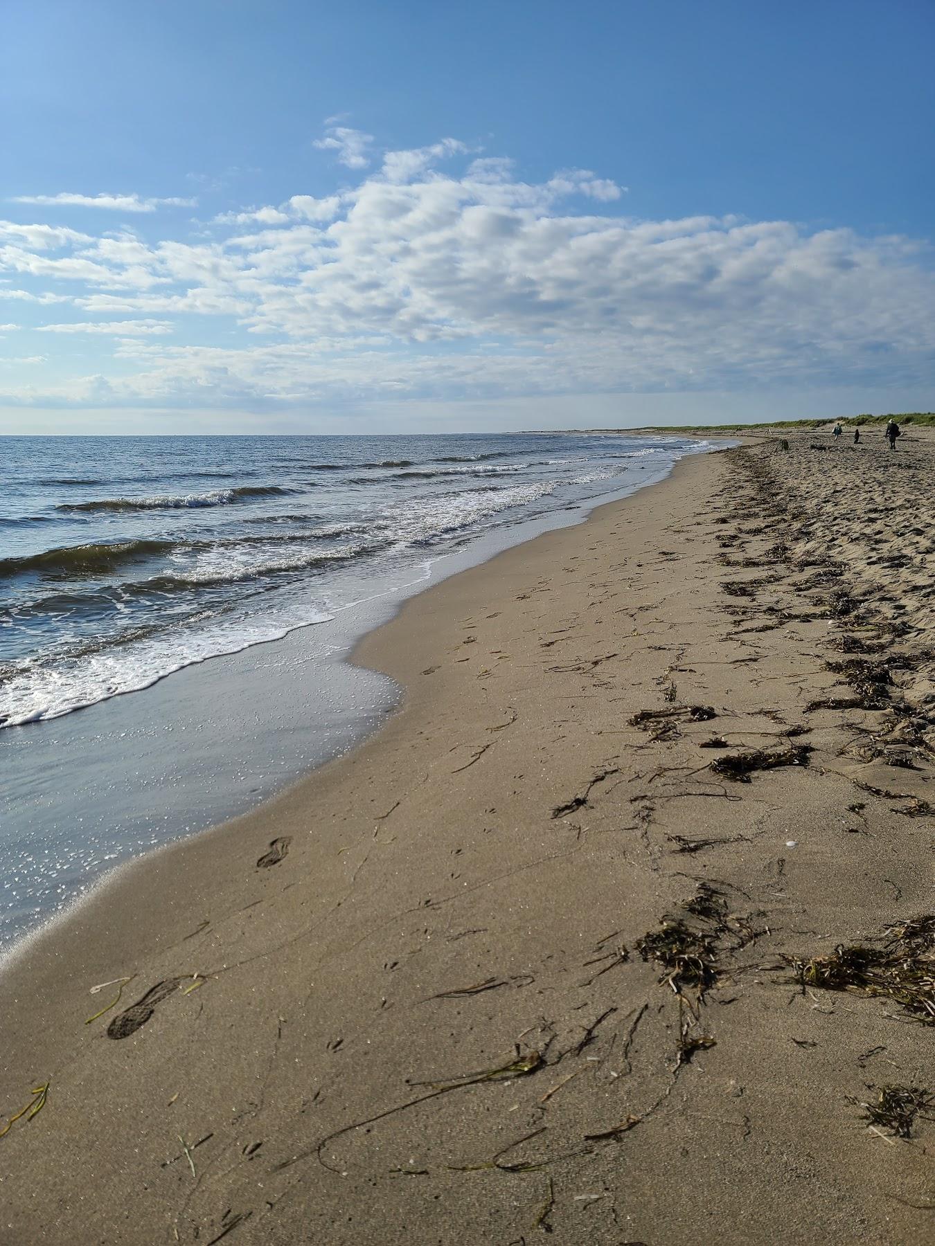 Sandee South Kouchibouguac Dune