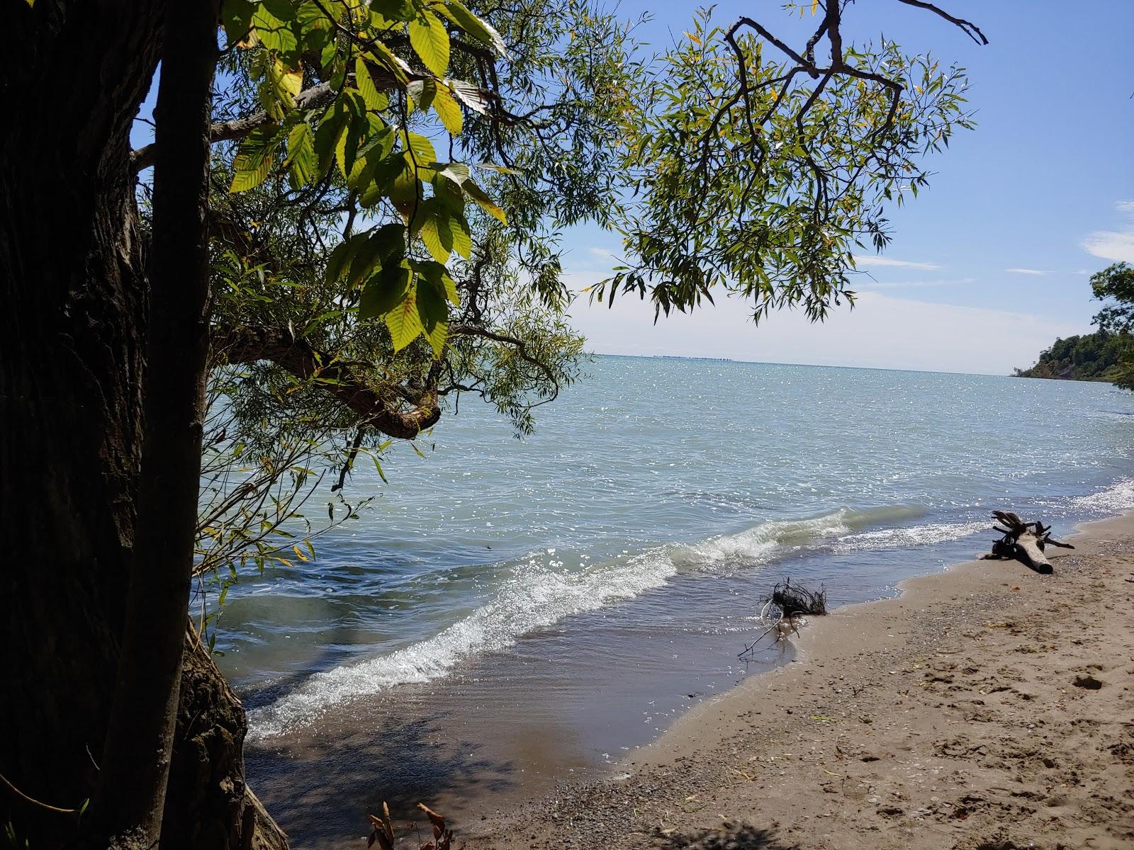 Sandee Norfolk Conservation Area Photo