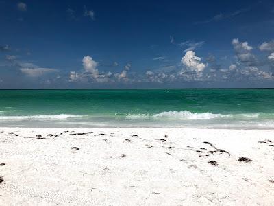 Sandee - Bean Point Beach