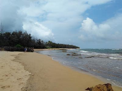 Sandee - Gillins Beach