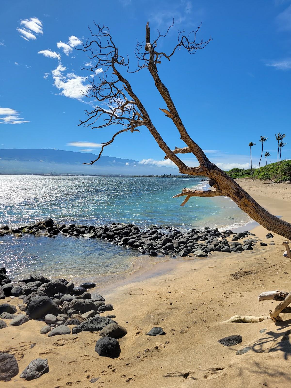 Sandee - Waiehu Beach Park