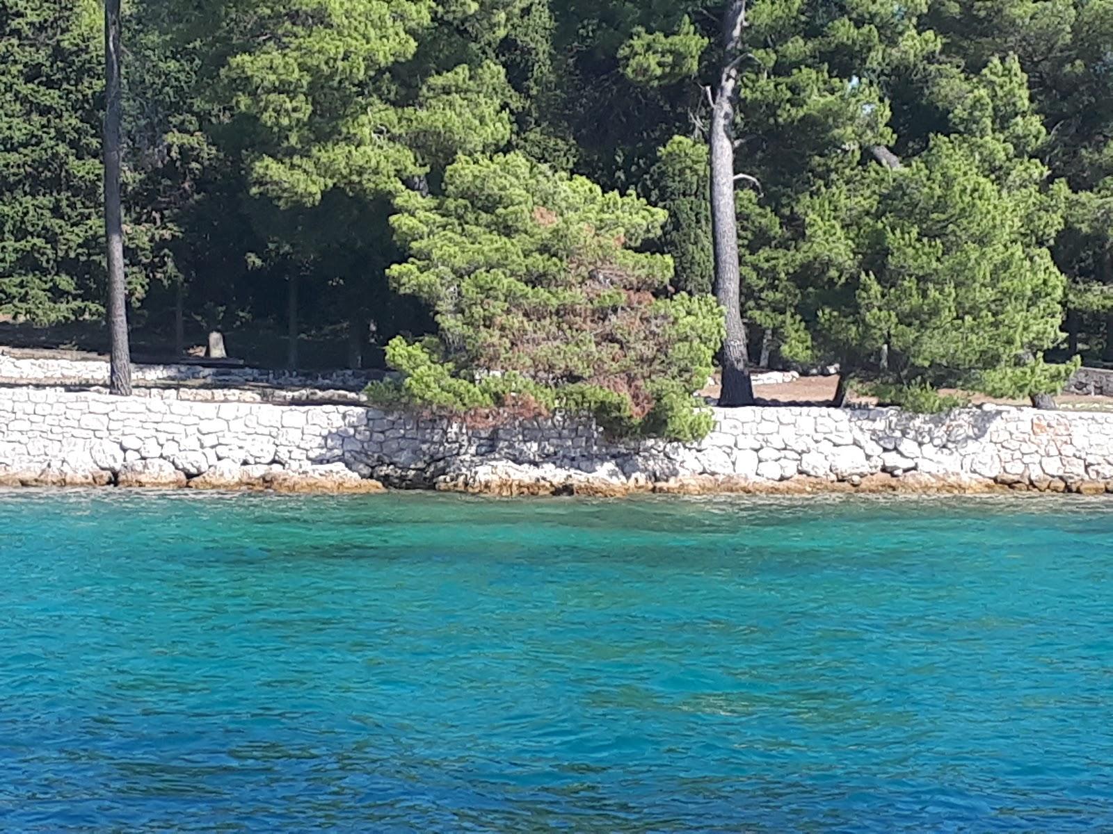 Sandee Beach Puntamika
