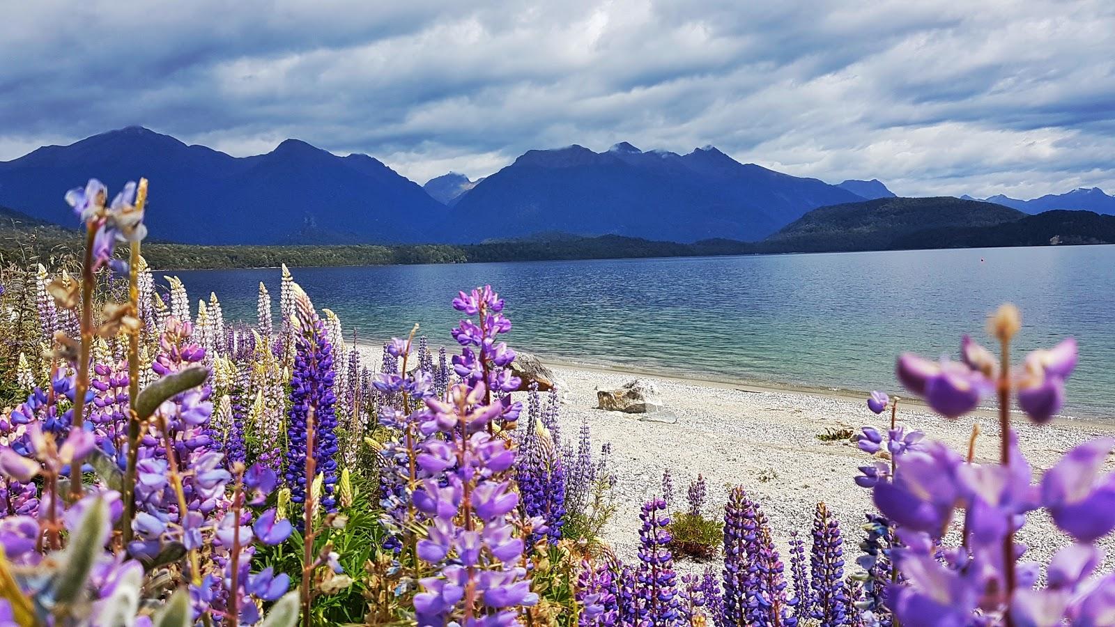 Sandee Frasers Beach