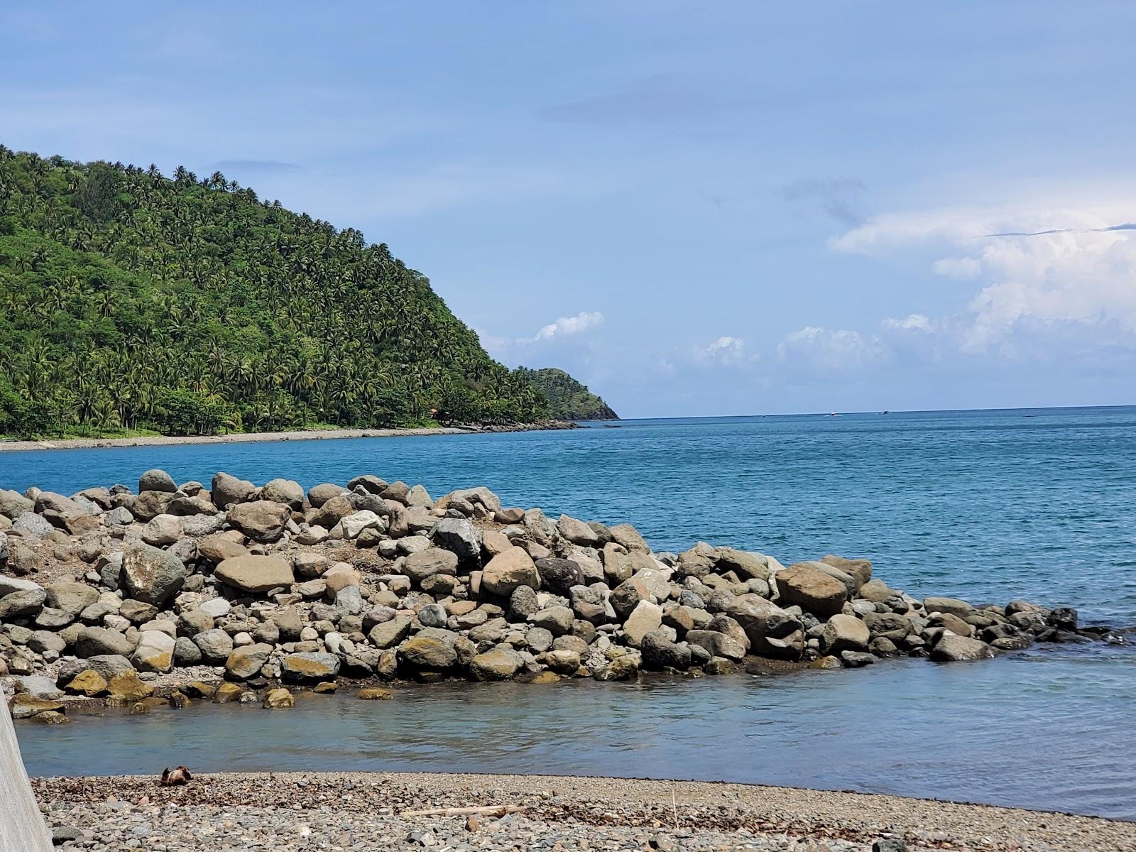 Sandee Paltic Beach Photo