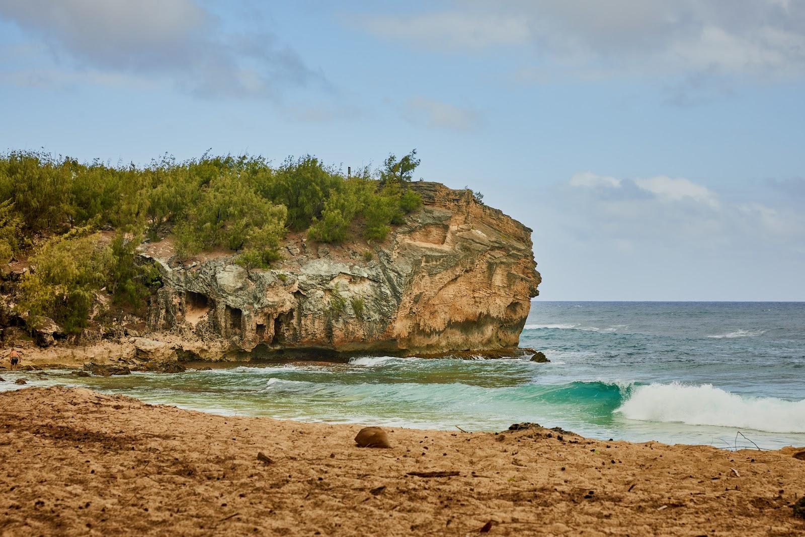 Sandee - Shipwrecks Beach