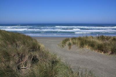 Sandee - Tolowa Dunes State Park