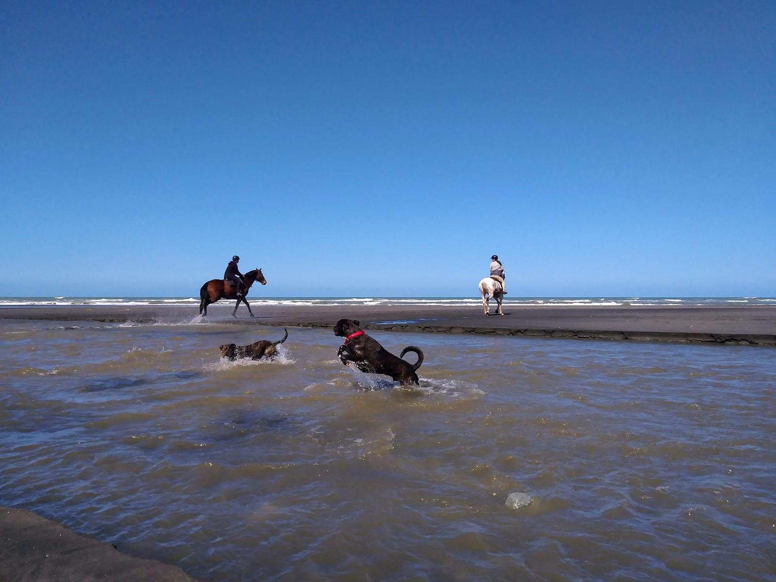Sandee Kai Iwi Beach