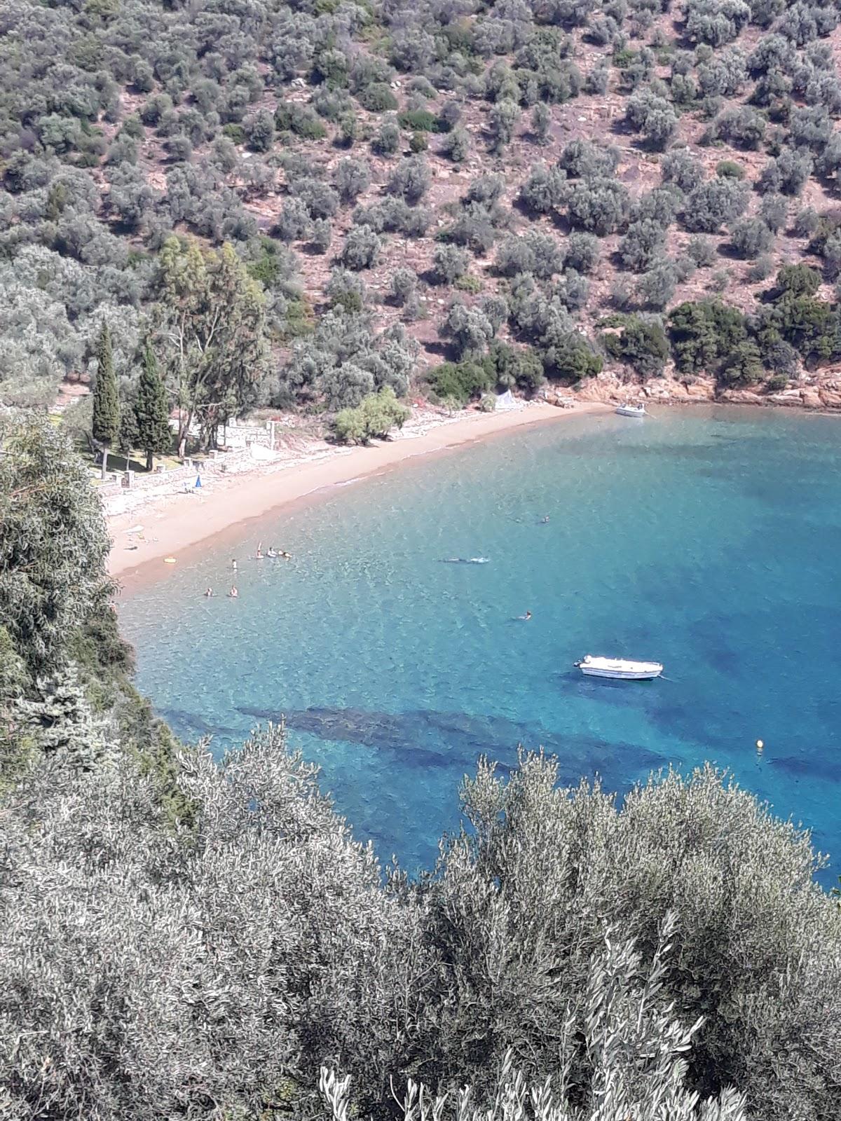 Sandee Bruna Beach
