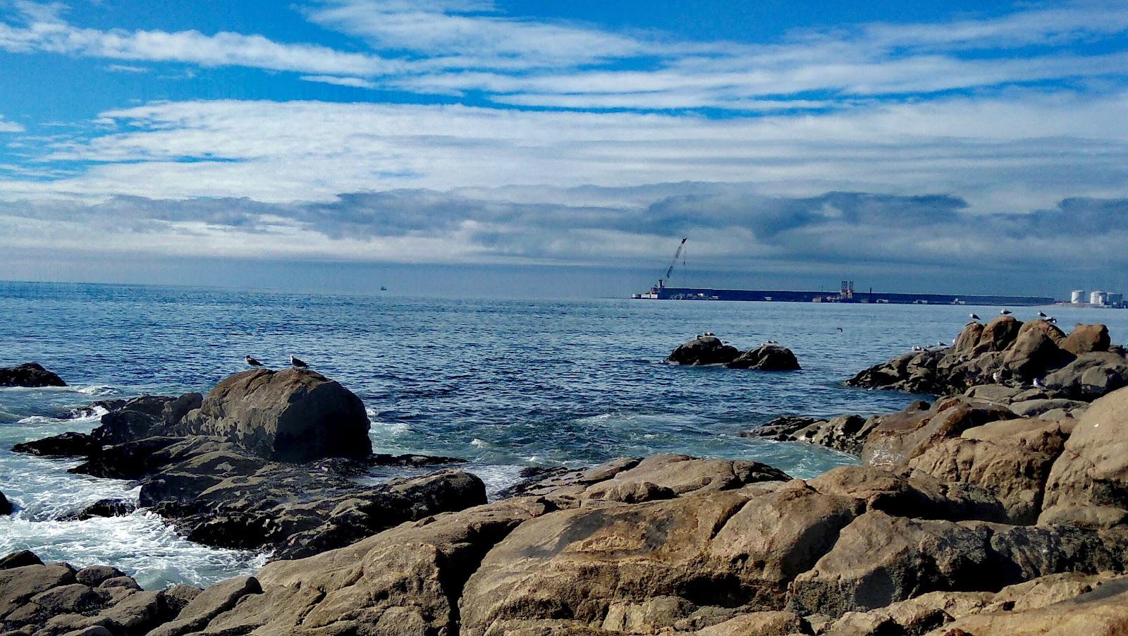 Sandee - Matosinhos Beach