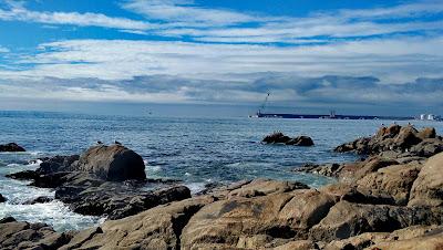 Sandee - Matosinhos Beach